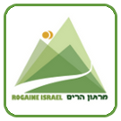רוגין אביב 2013